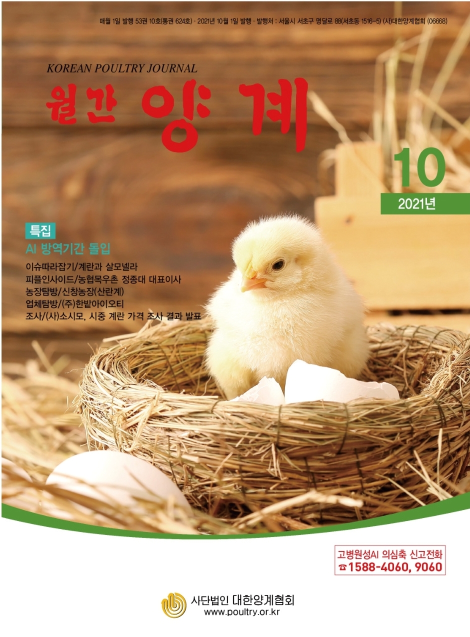 월간양계